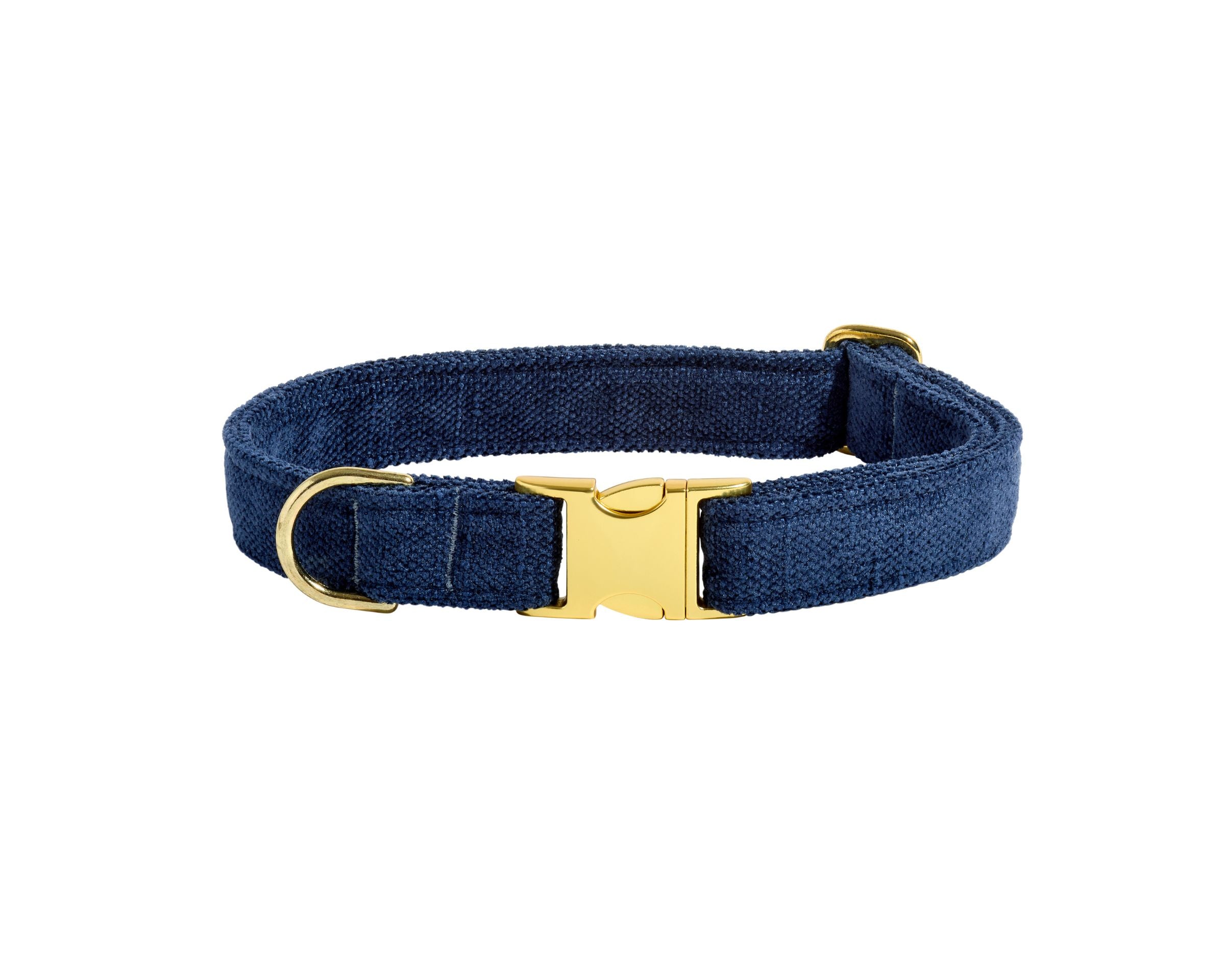 Bowsers Designer Buckle Dog Collar – Secure Everyday Fit and Designer Style