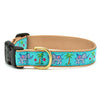 Up Country Trunk Show Wide Cast Brass Dog Collar