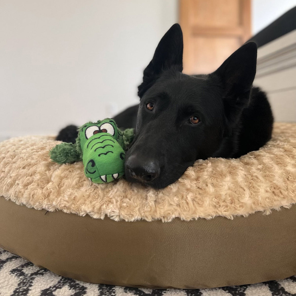 Round Furvana Dog Bed