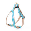 Up Country Turquoise Gingham Dog Cast Brass Dog Harness