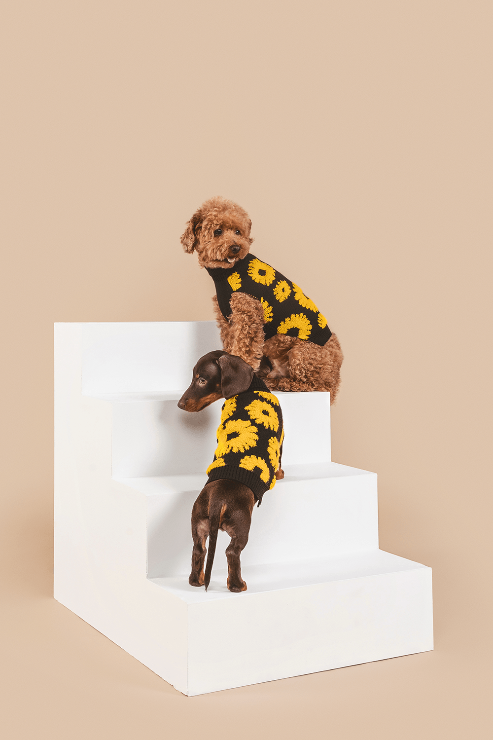 Sunflower Days Sweater 
