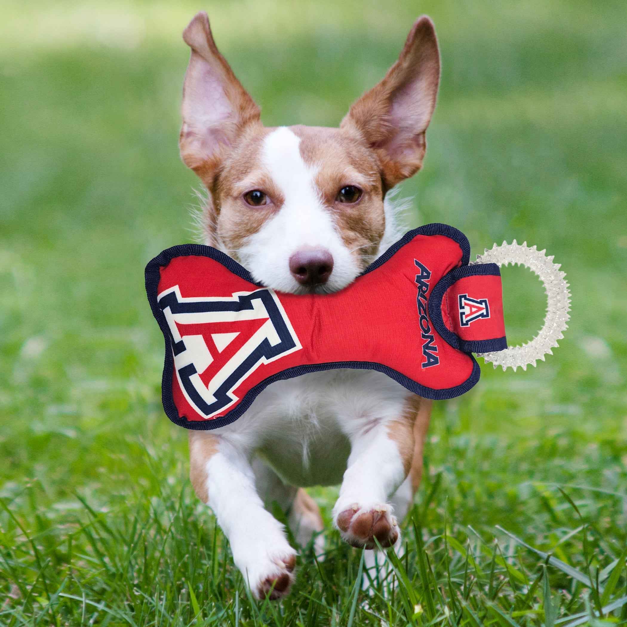 Arizona Dental Ring Toy