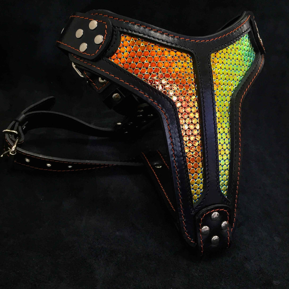 Bestia D'Albertis Limited Edition Leather Dog Harness