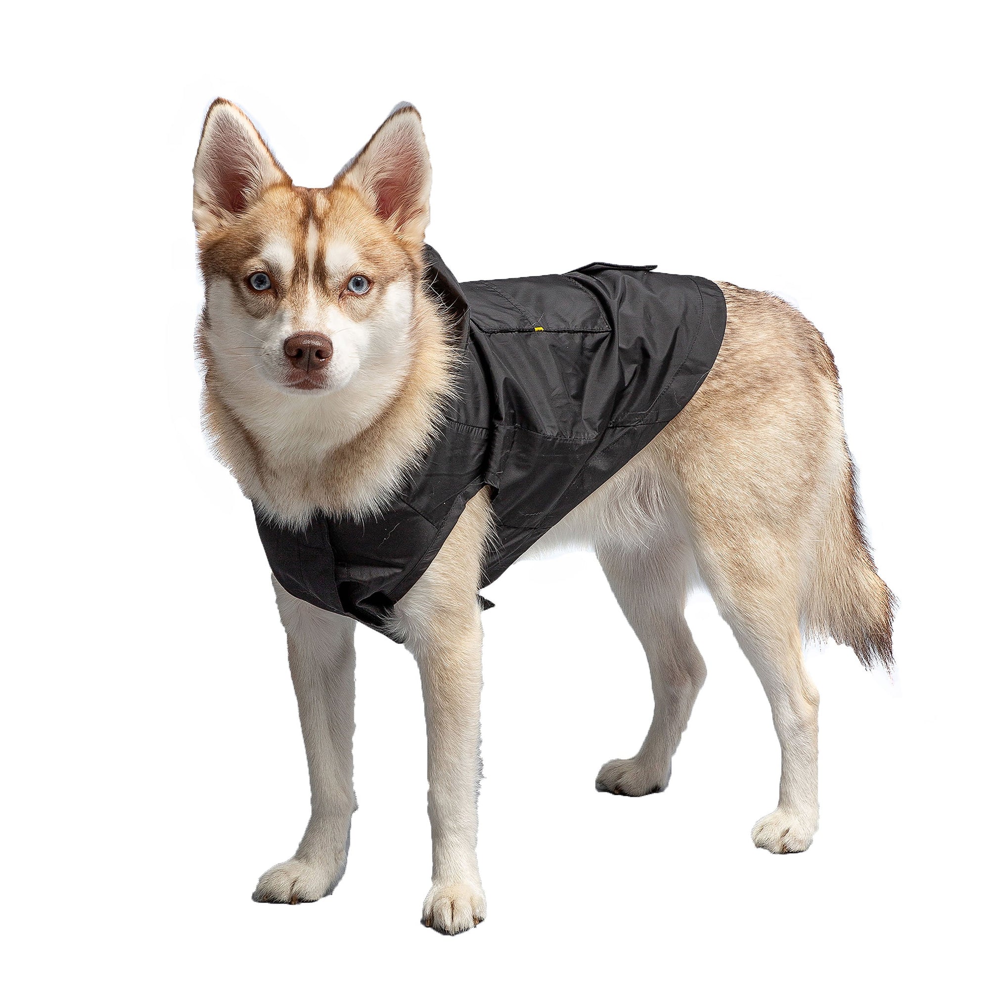 US Army Packable Dog Raincoat - Black premium pet product