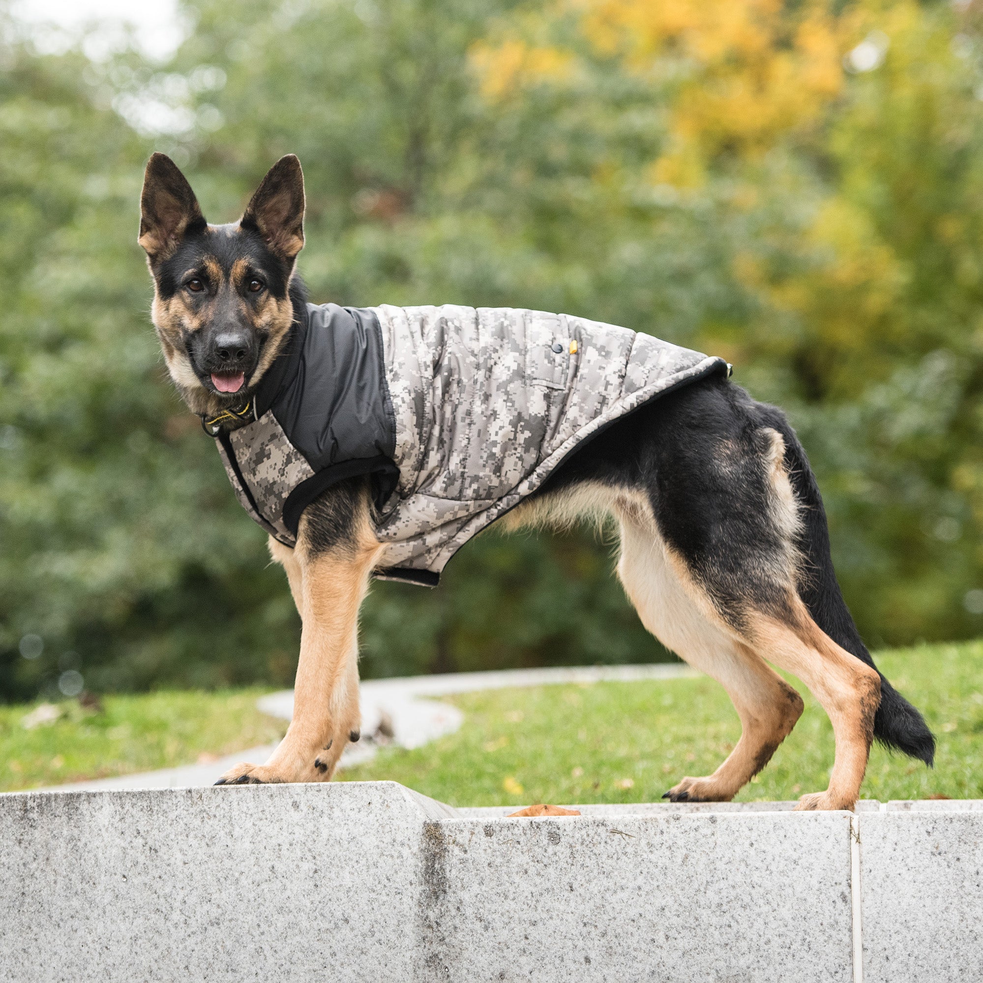 US Army Dog Jacket - Camo premium pet product