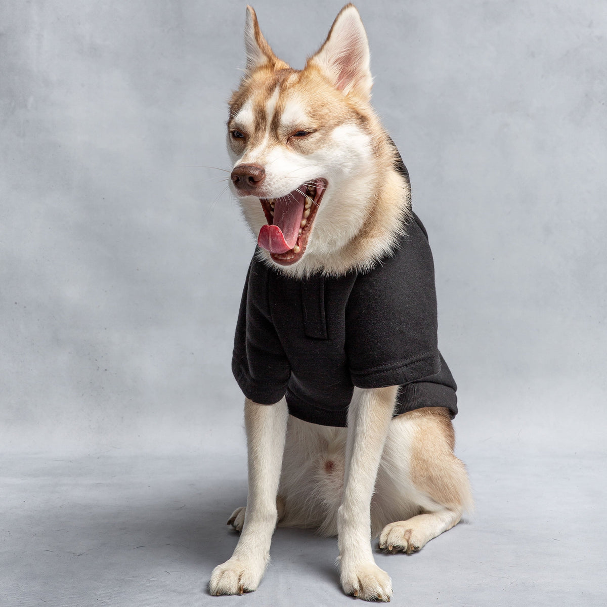 US Army Hooded Dog Fleece - Black premium pet product