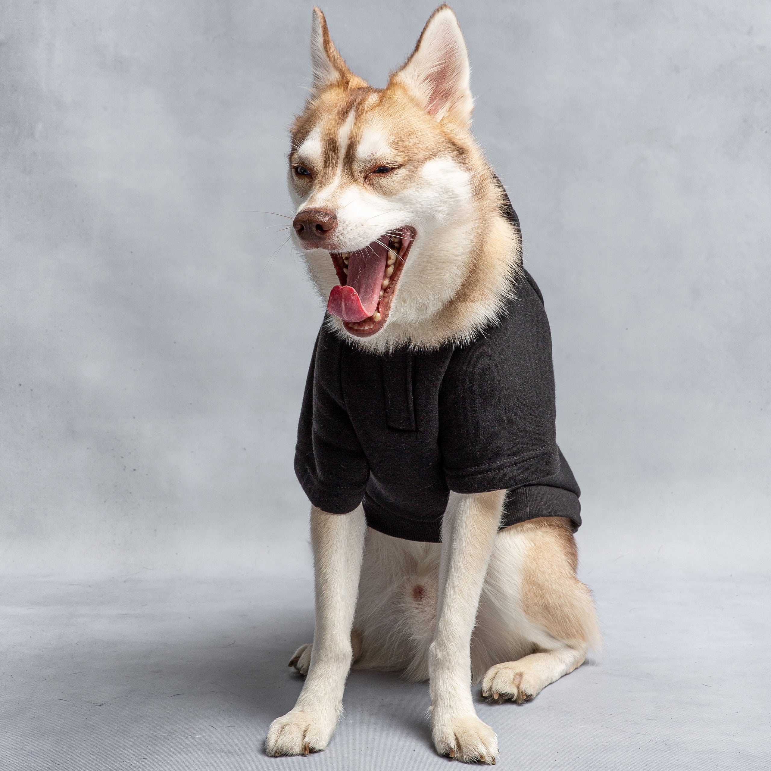 US Army Hooded Dog Fleece - Black premium pet product