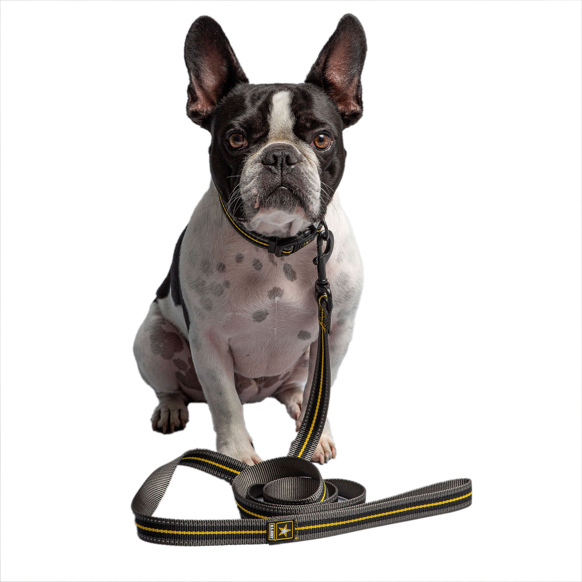 US Army Dog Leash - Dark Camo premium pet product