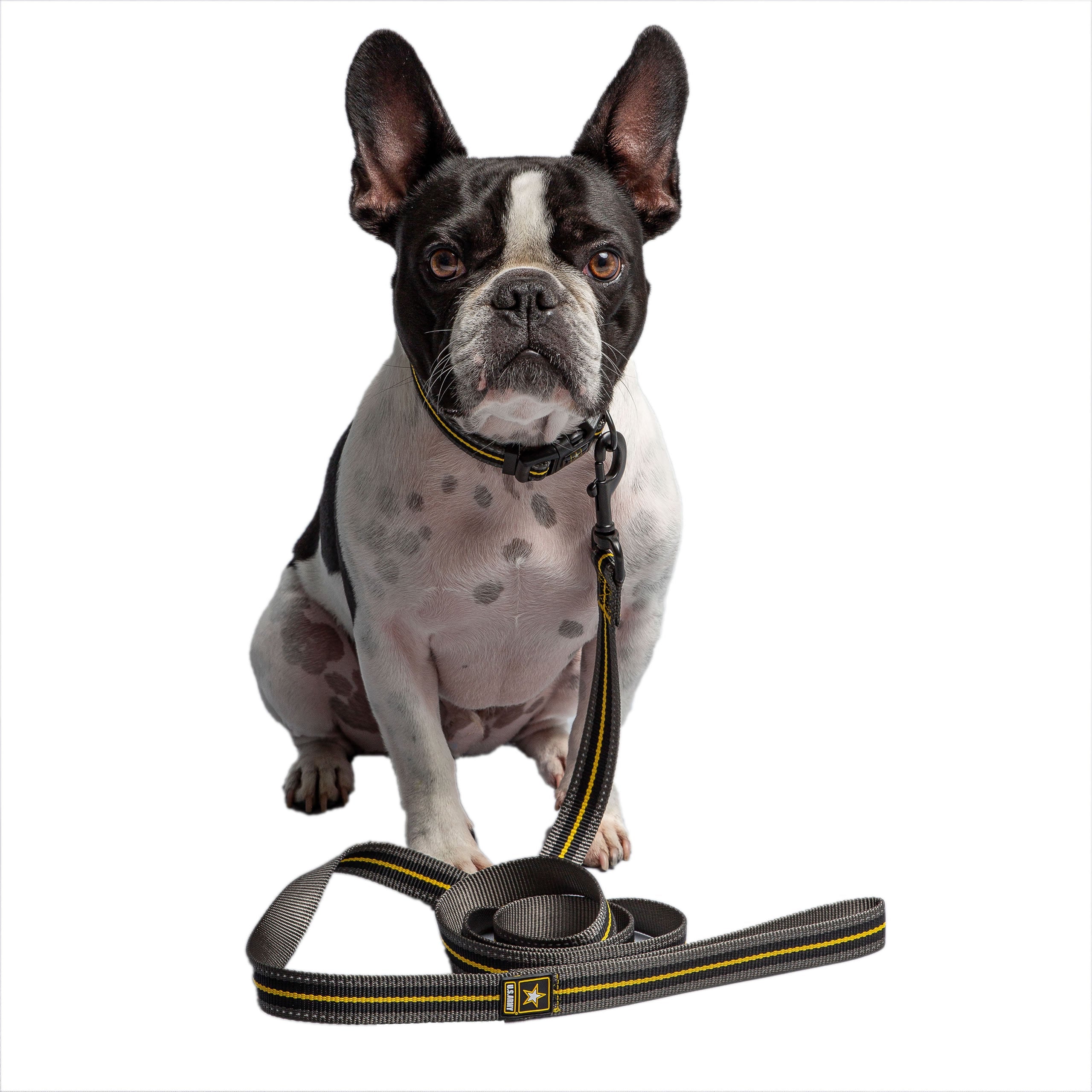 US Army Dog Leash - Dark Camo premium pet product