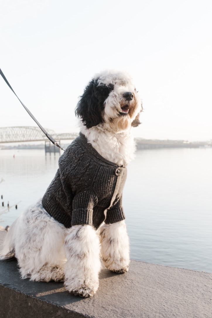 BESPOKE PAWS Brooklyn Cashmere Cardigan, Charcoal - Leather Warm Cozy Comfort Sweaters