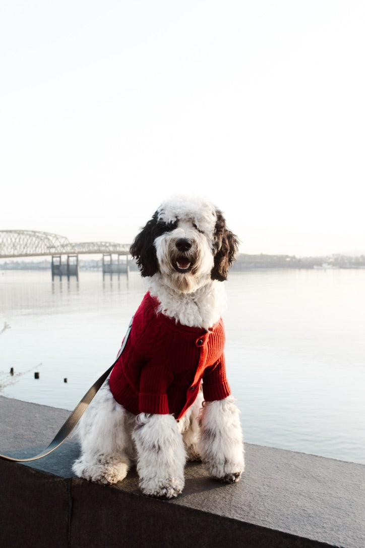 BESPOKE PAWS Brooklyn Cashmere Cardigan, Garnet - Leather Warm Winter Cozy Sweaters