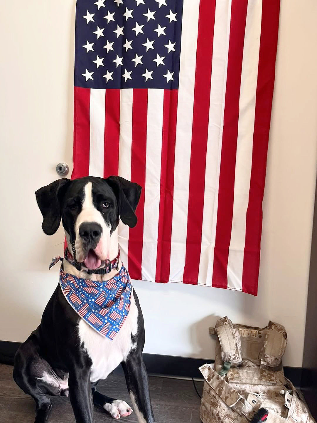 USA Flags