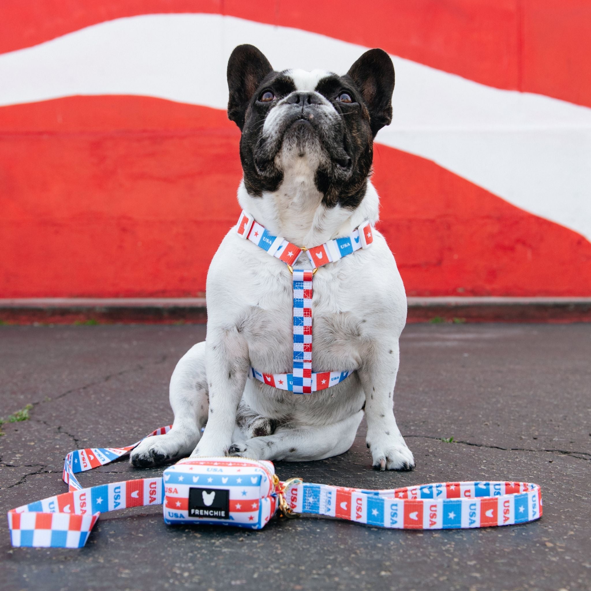 Frenchie Comfort Leash - USA