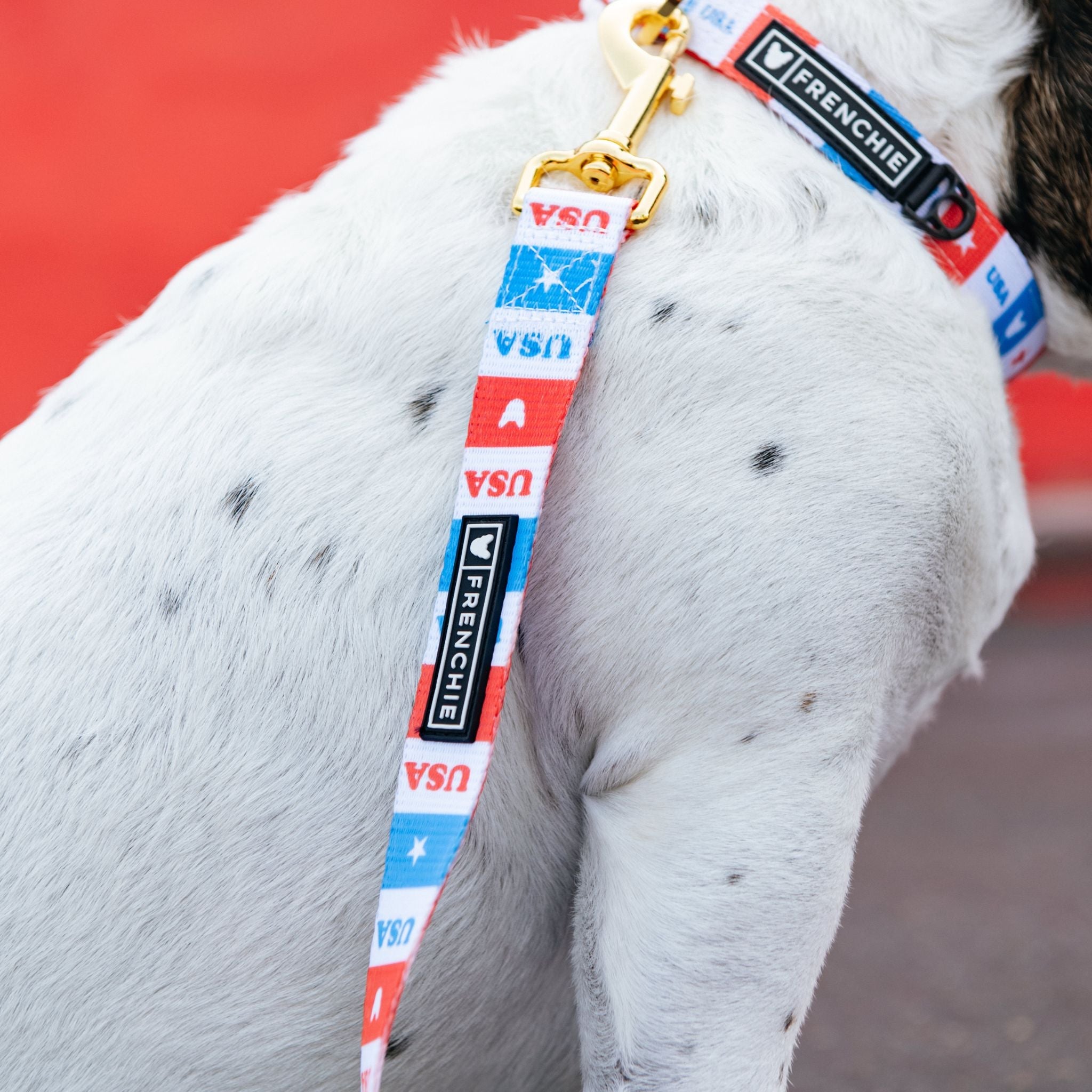 Frenchie Comfort Leash - USA