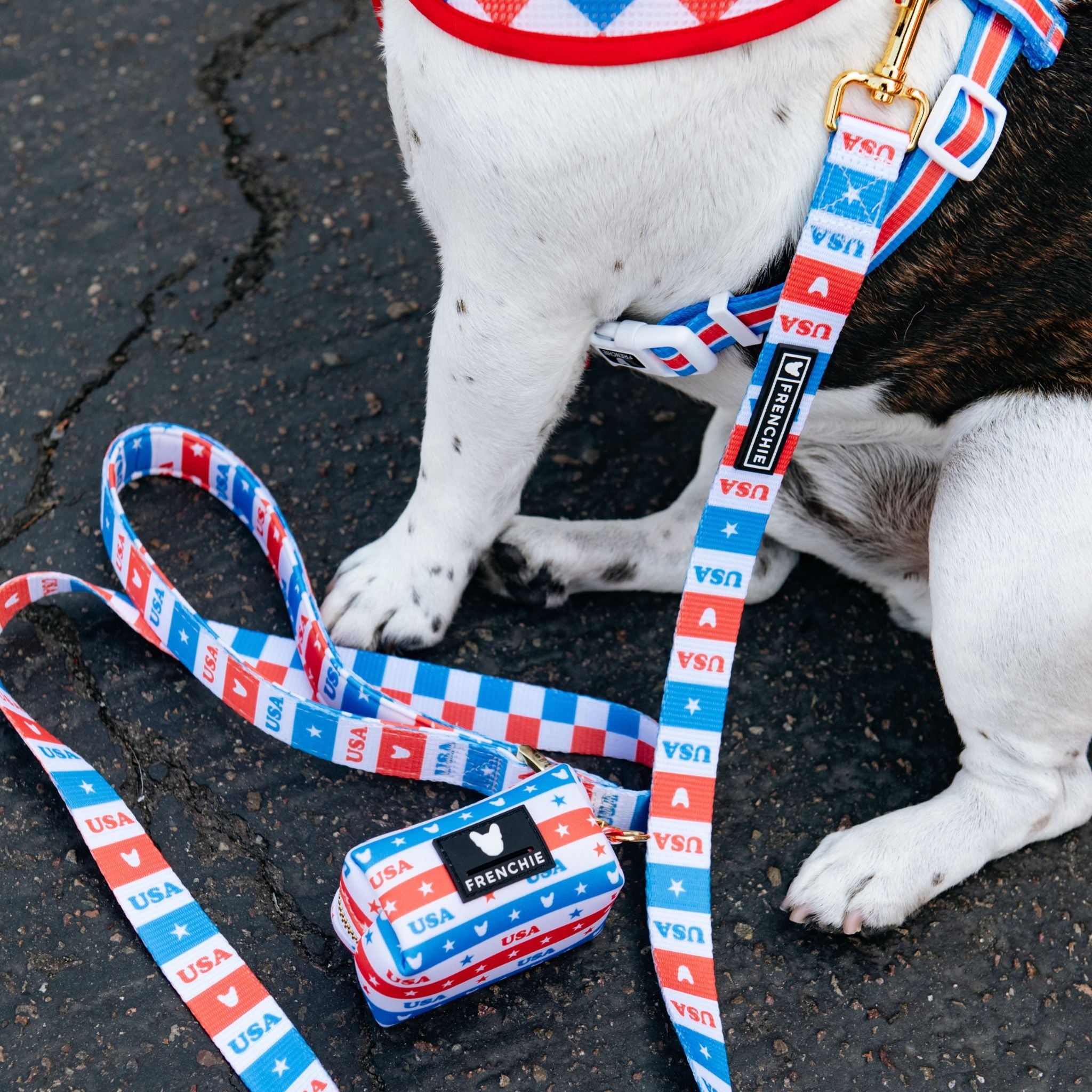 Frenchie Comfort Leash - USA