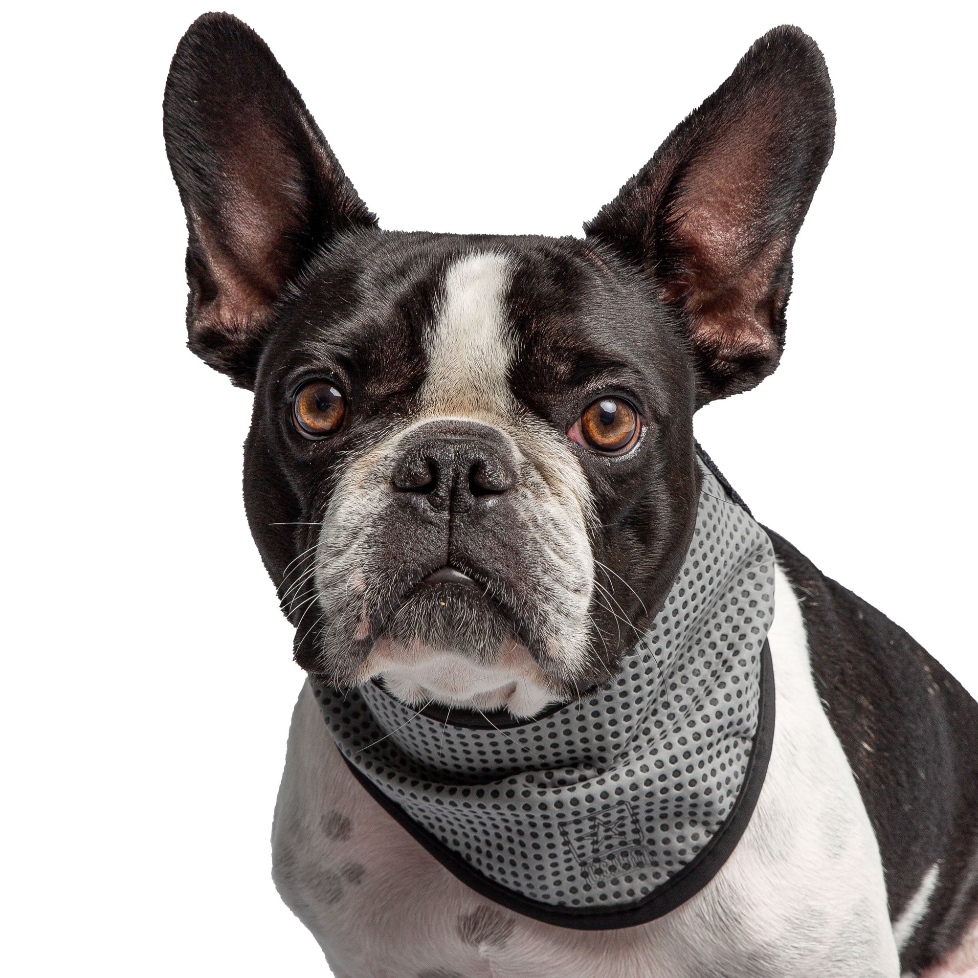US Army Dog Cooling Bandana - Grey premium pet product