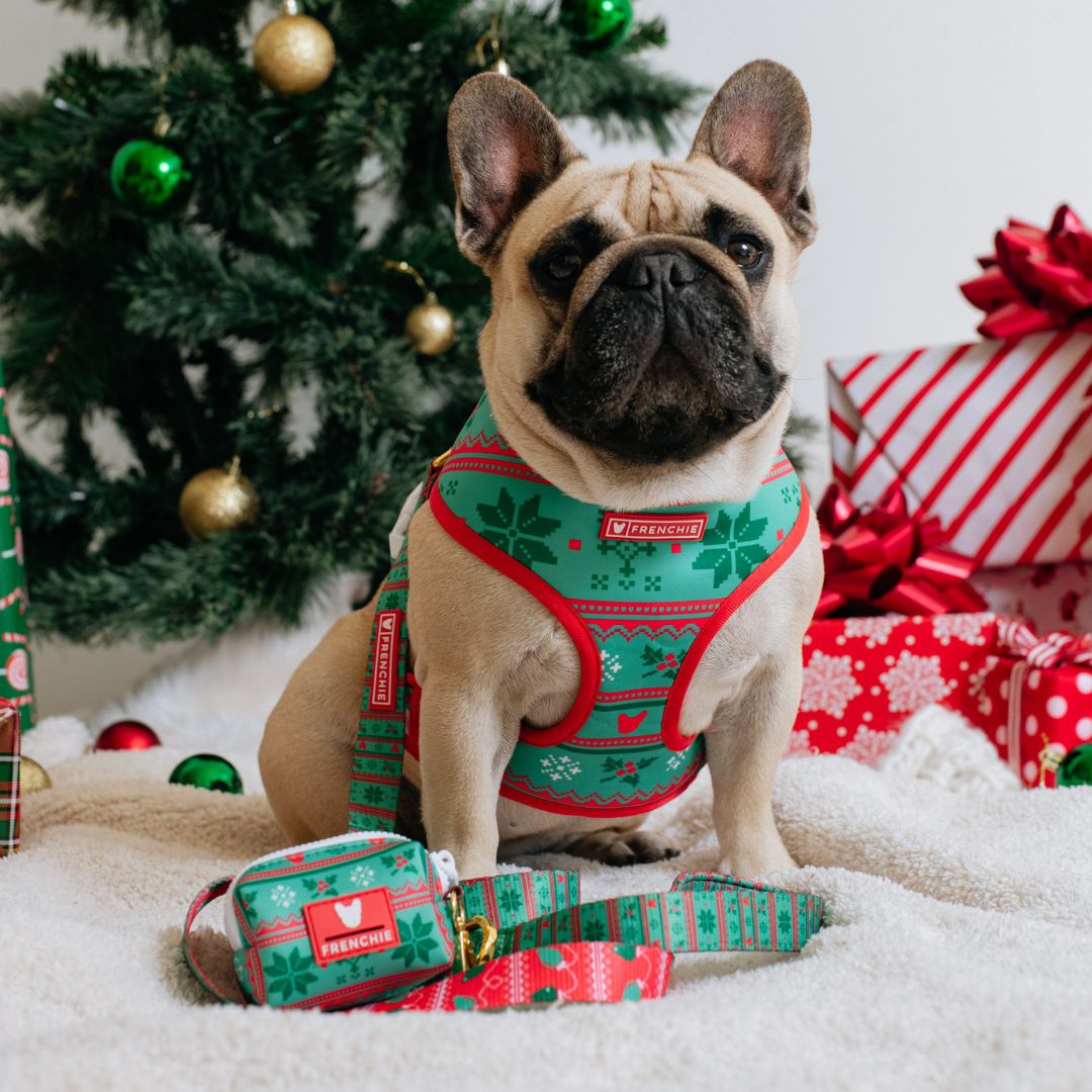 Frenchie Comfort Leash - Ugly Sweater