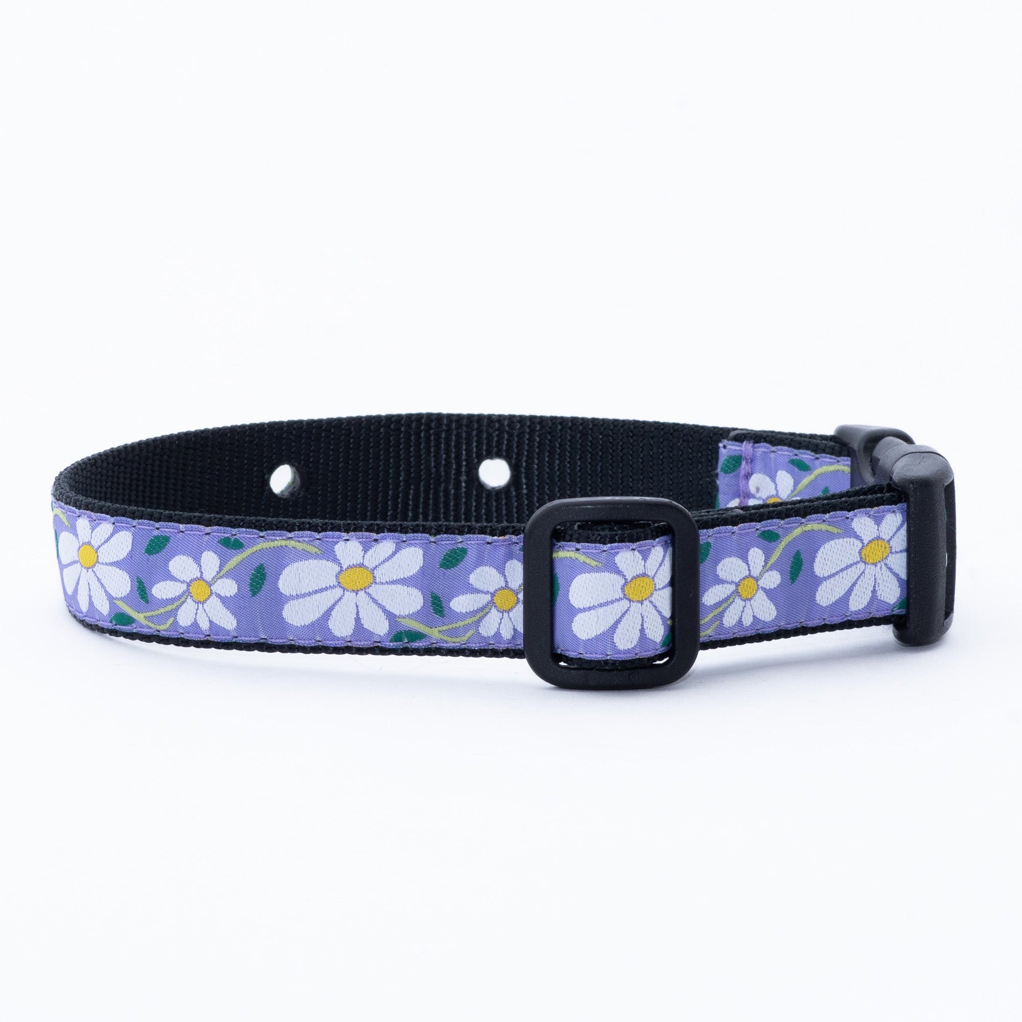 Daisy Underground Dog Collar By: Up Country