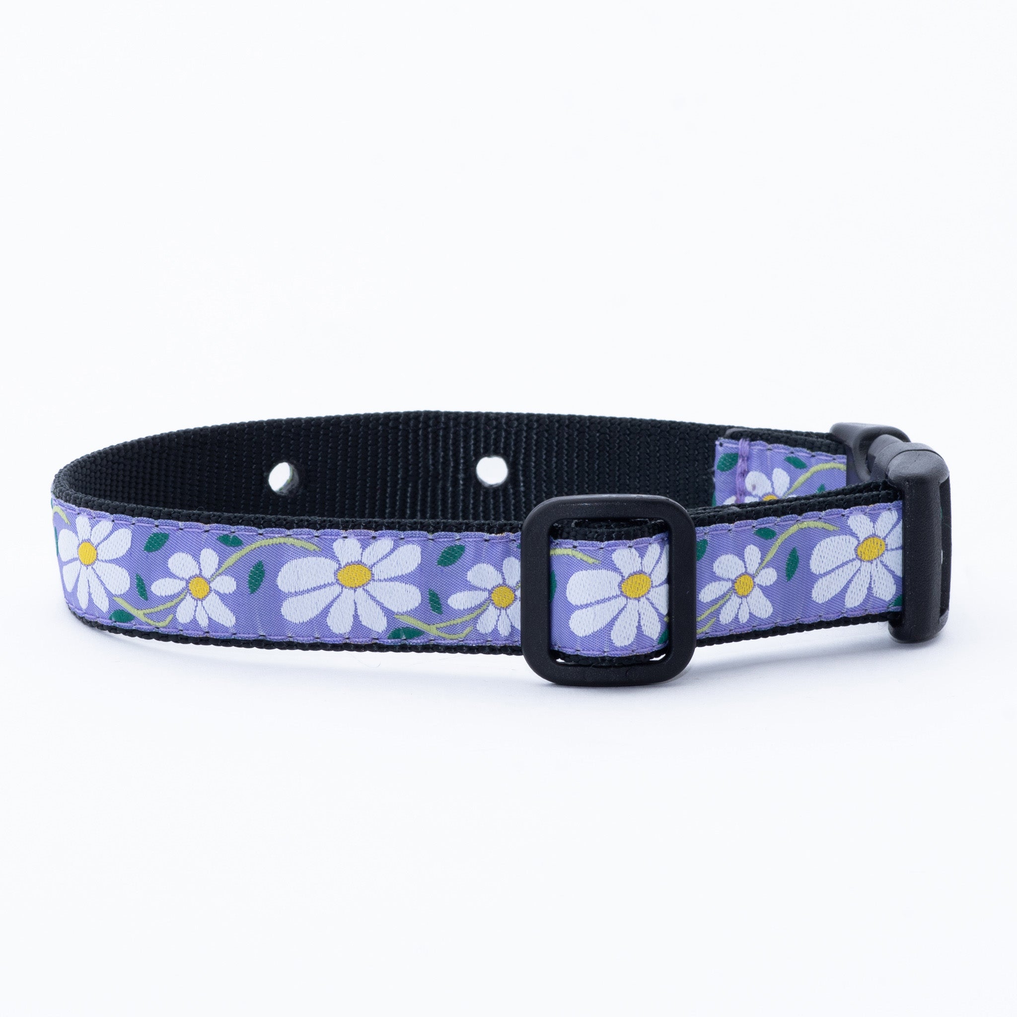 Daisy Underground Dog Collar By: Up Country