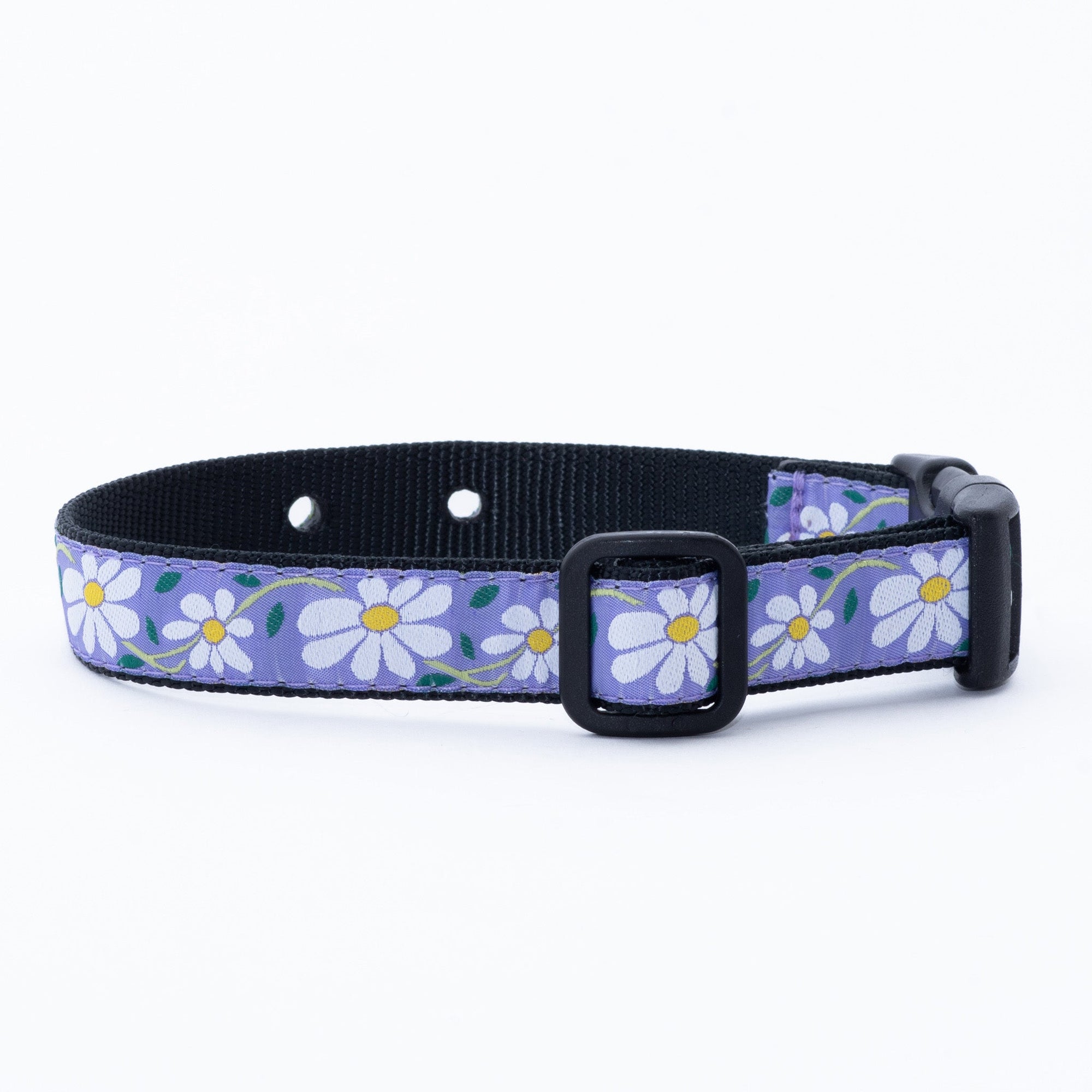 Daisy Underground Dog Collar By: Up Country