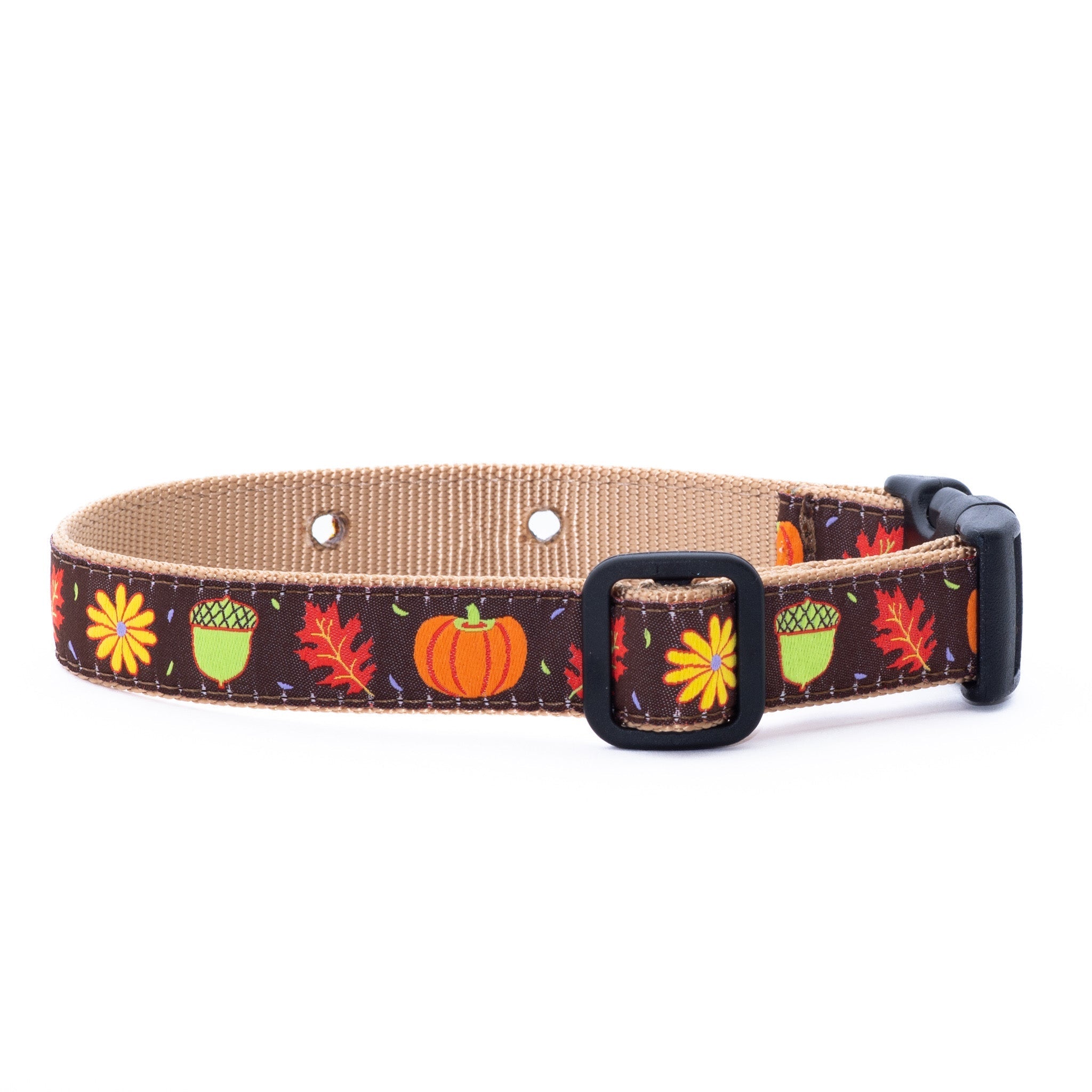 Harvest Time Underground Dog Collar By: Up Country