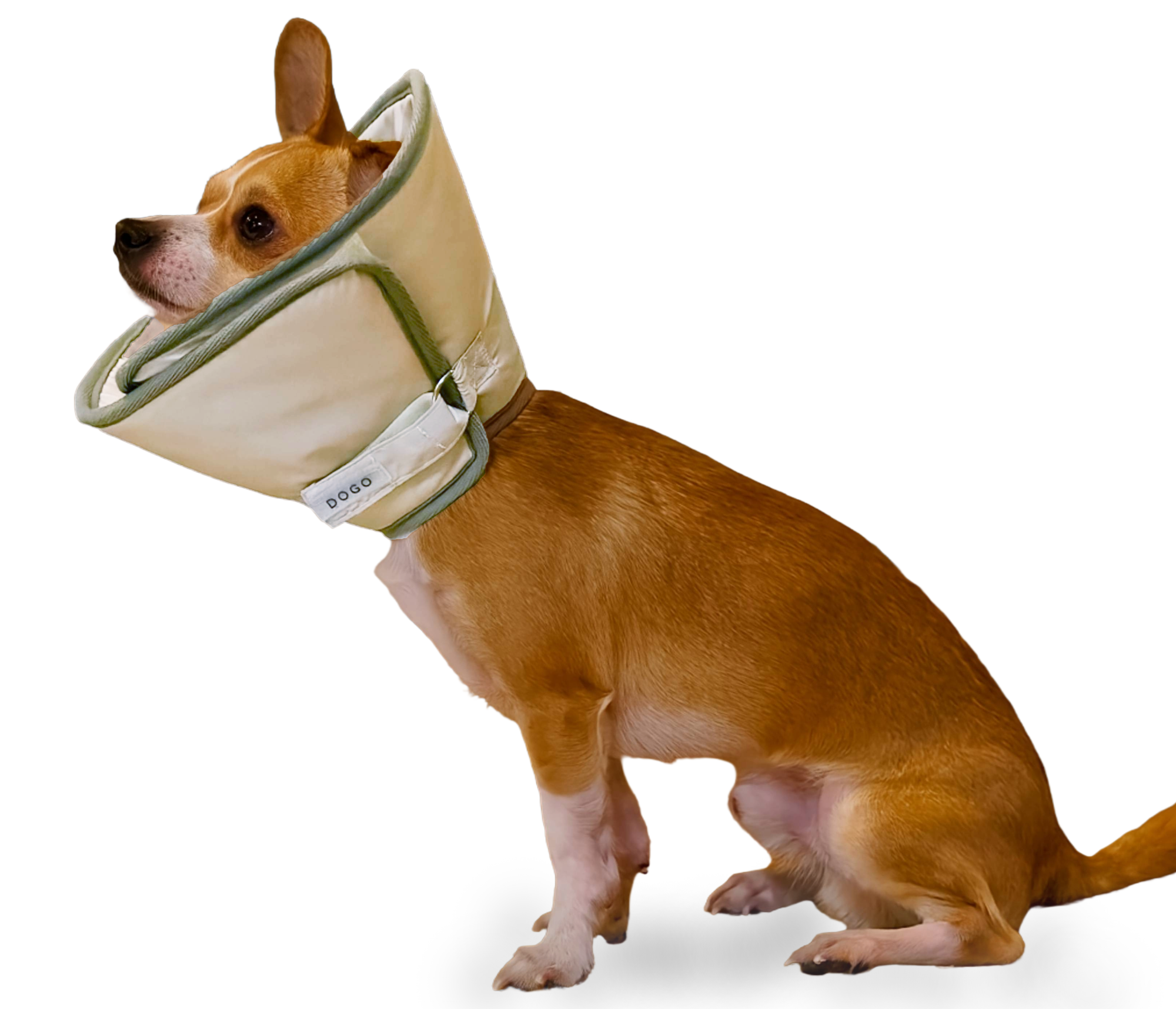 DOGO Get Better Soft Dog Recovery Collar