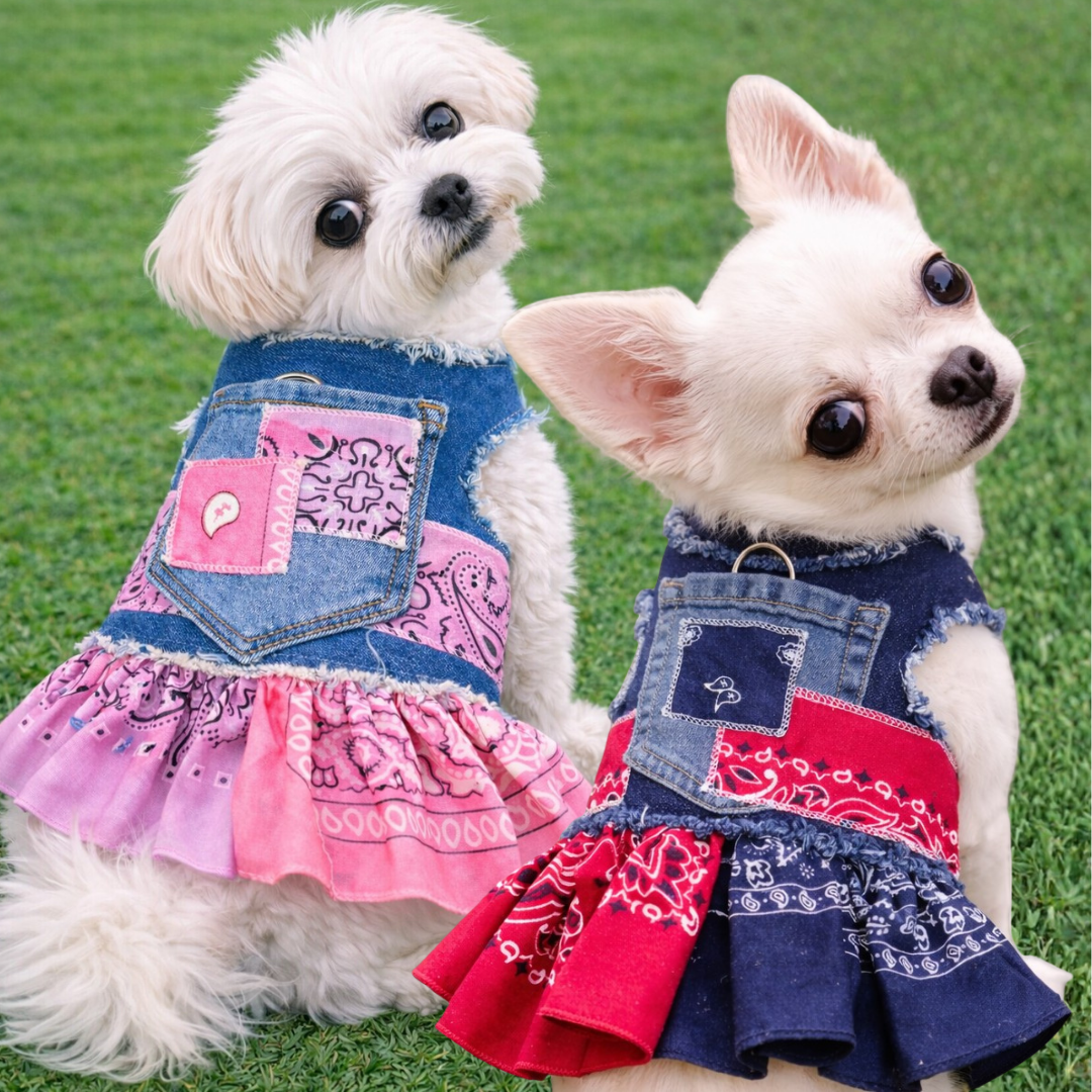 Heads or Tails Pup Denim Dog Bandana