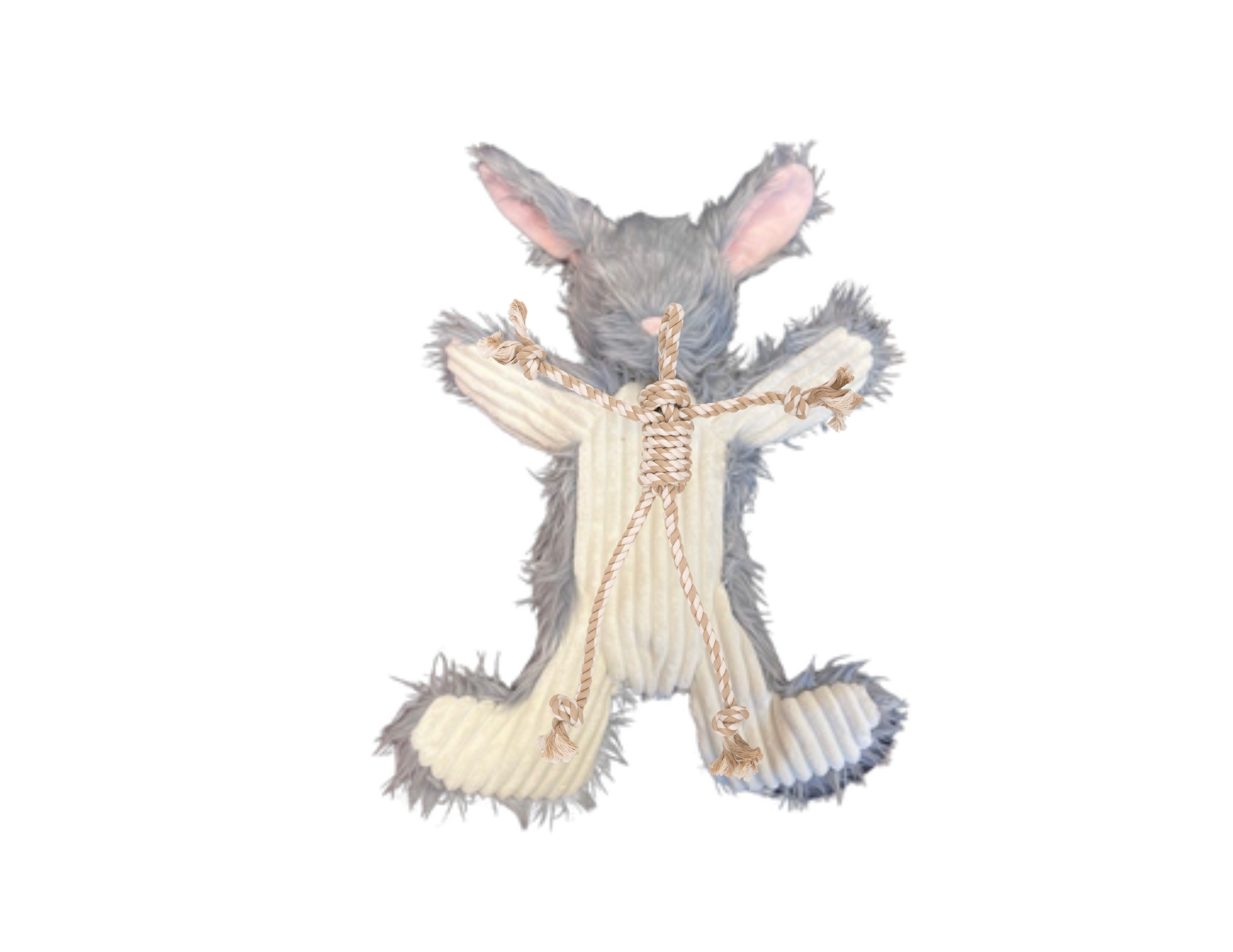 Birch Bunny X-BraceTM Plush Dog Toy