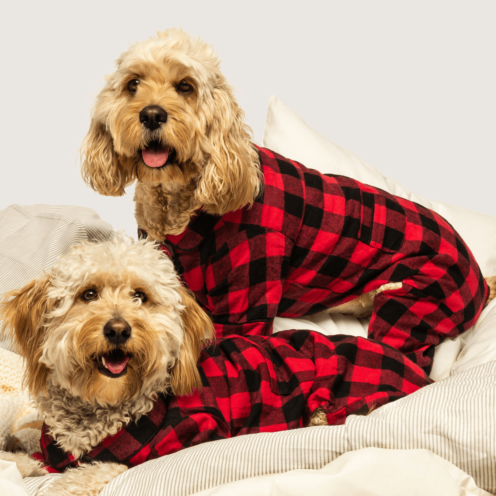 Buffalo Check Flannel Pajamas 