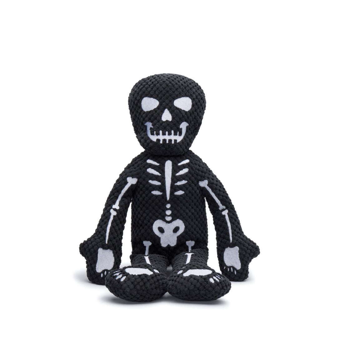 Floppy Skeleton 