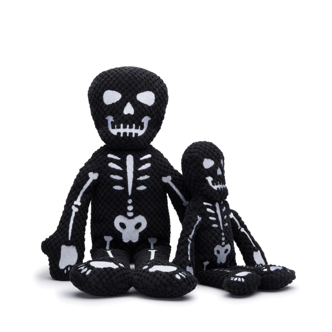 Floppy Skeleton 