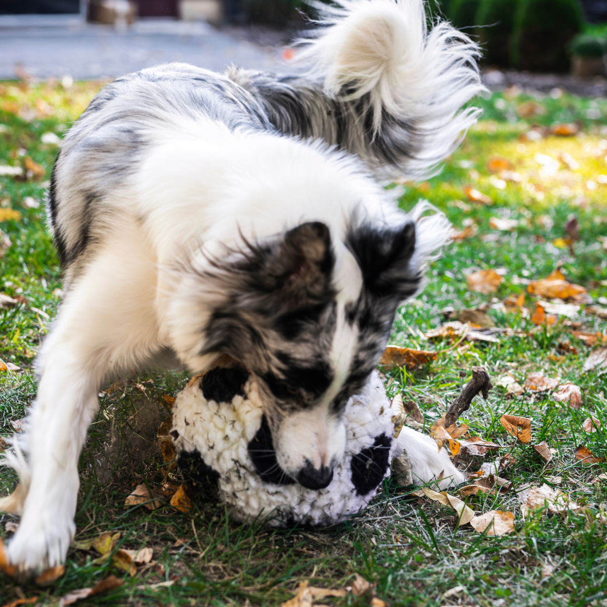 HuggleFleece Soccer Ball Dog Toy | Limited World Cup 2026