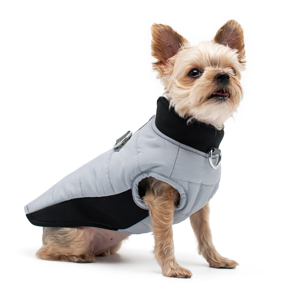 DOGO Urban Dog Runner Coat