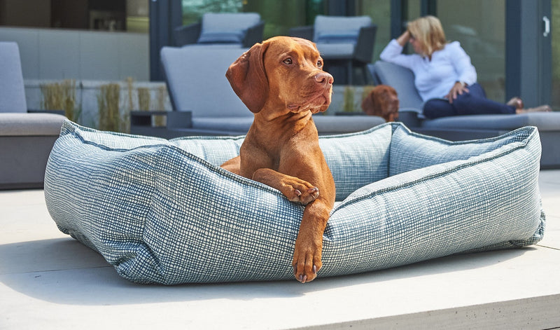 Bowsers Urban Lounger Orthopedic Dog Bed – Sleek One-Piece Design
