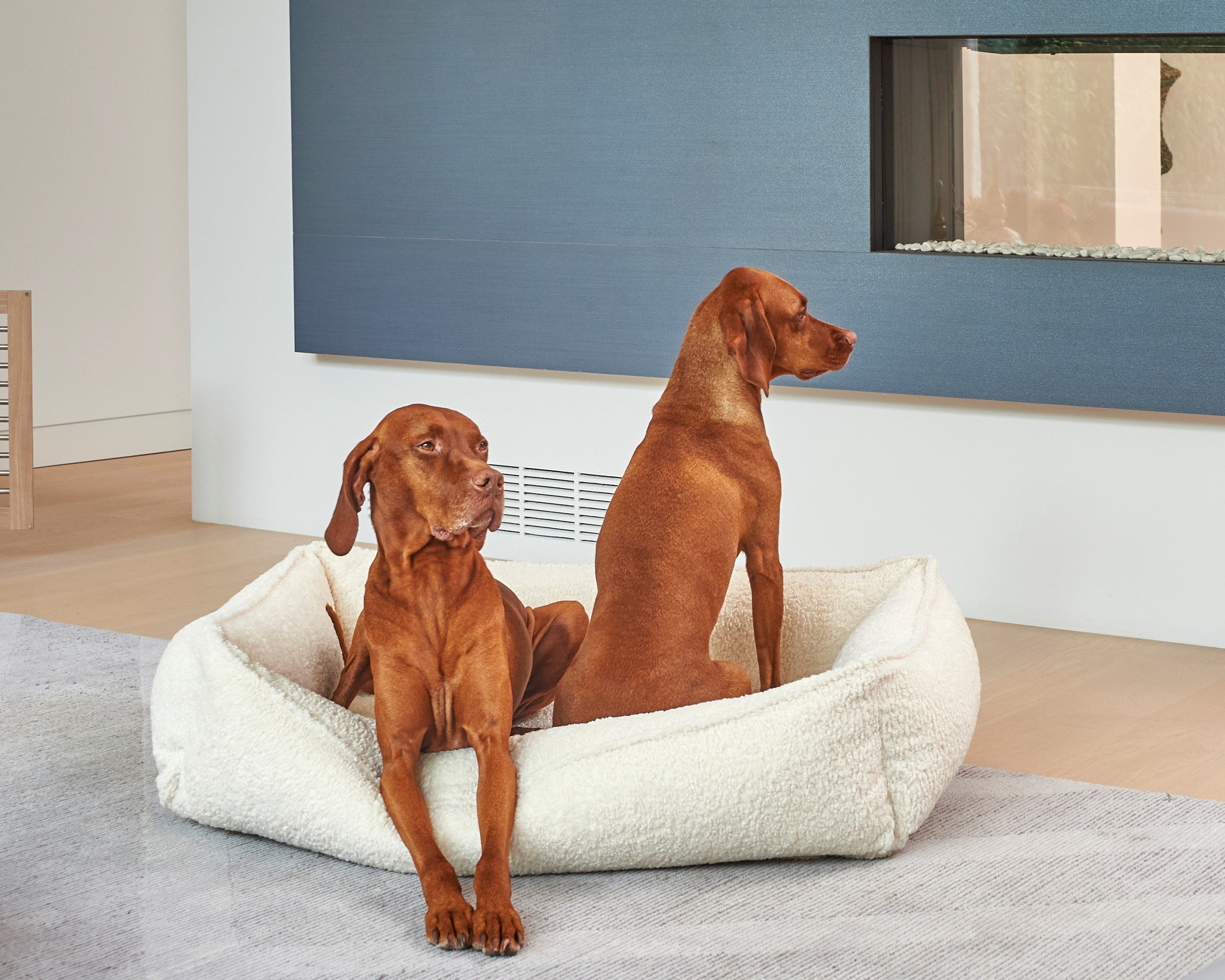 Bowsers Urban Lounger Orthopedic Dog Bed – Sleek One-Piece Design