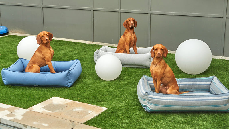 Bowsers Outdoor Urban Lounger Dog Bed - Durable Patio and Outdoor Comfort