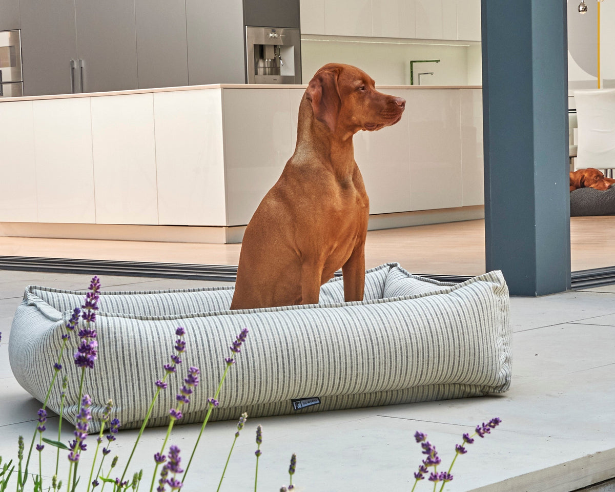 Bowsers Urban Lounger Orthopedic Dog Bed - Sleek One-Piece Design