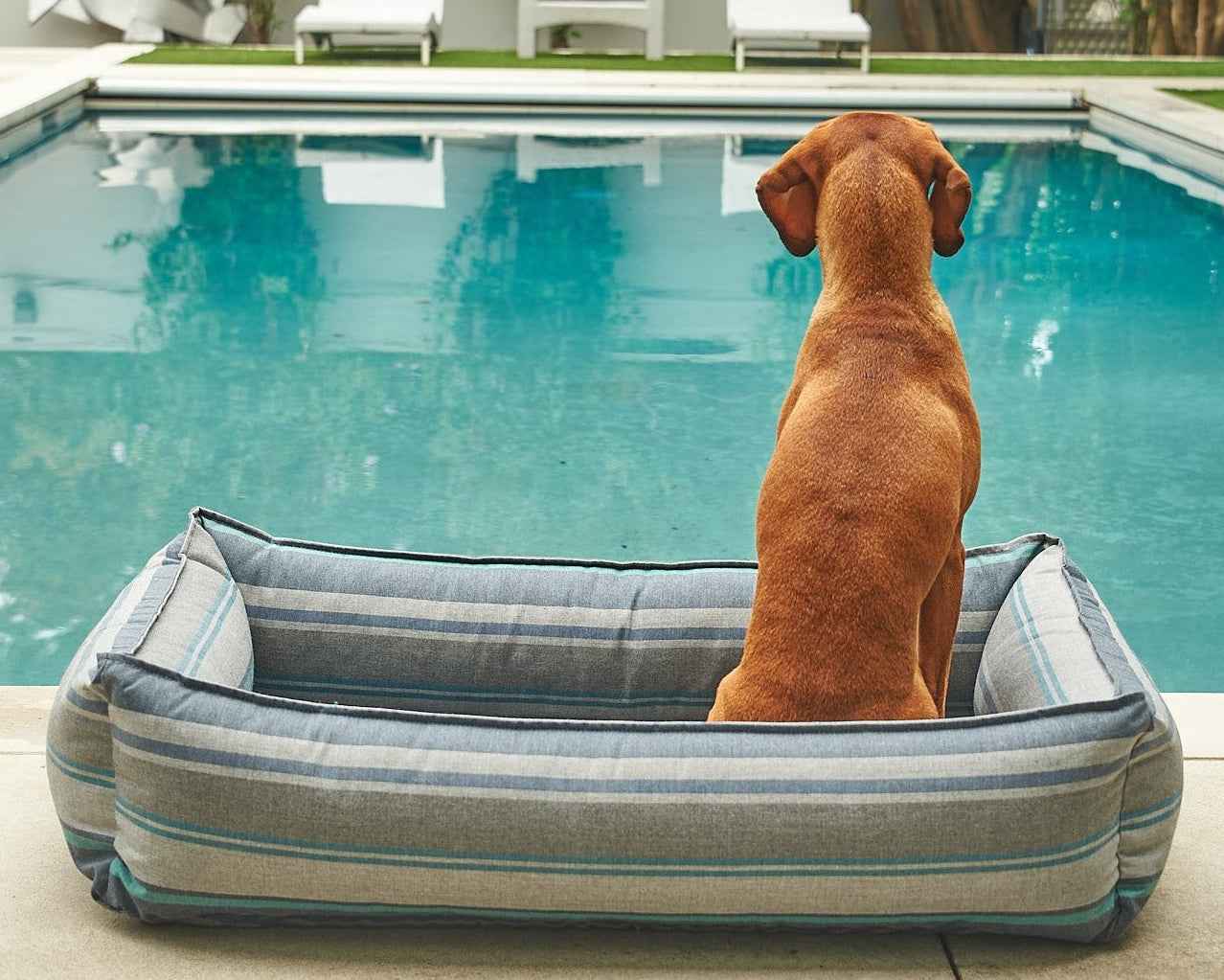 Bowsers Outdoor Urban Lounger Dog Bed – Durable Patio and Outdoor Comfort