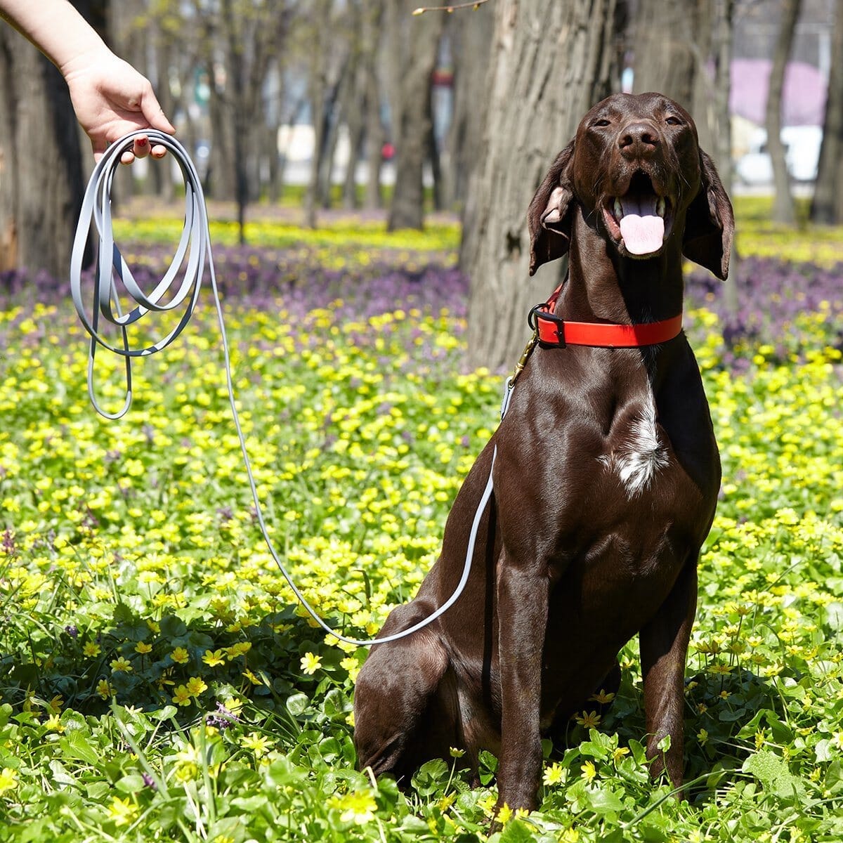 Dogline BioThane Working Dog Lead 6 ft
