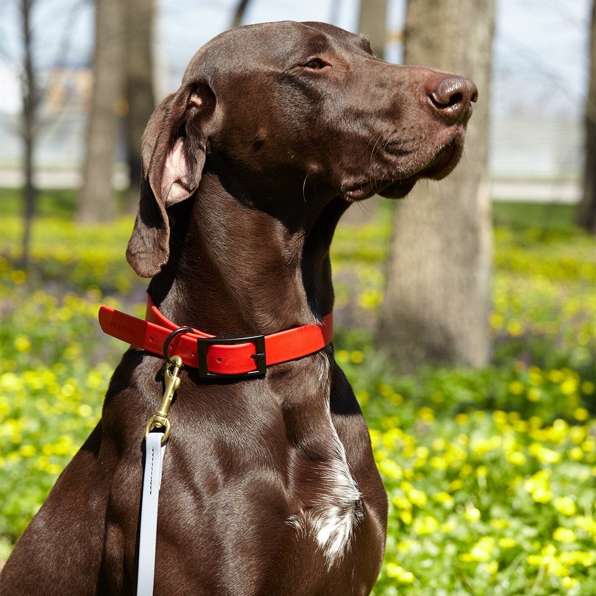 Dogline BioThane Working Dog Lead 6 ft