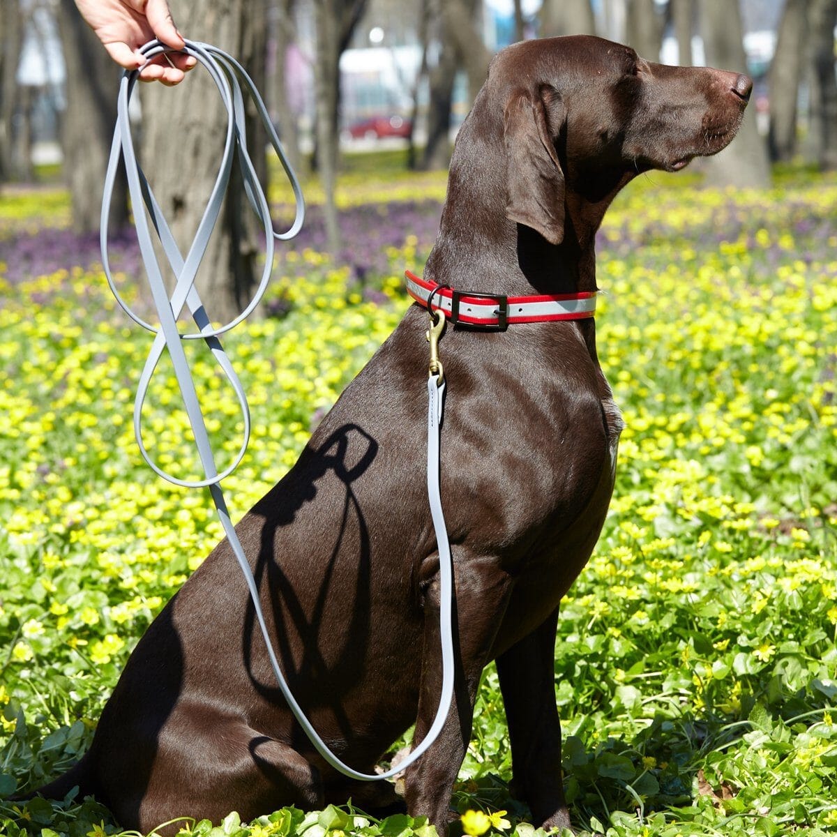 Dogline BioThane Working Dog Lead 6 ft