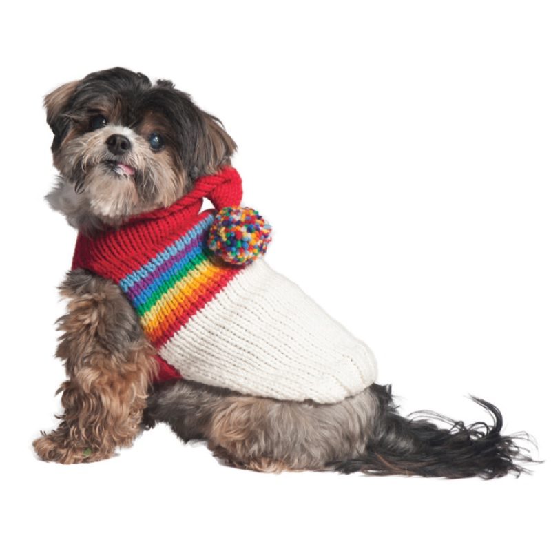 Vintage Ski Hoodie Dog Sweater