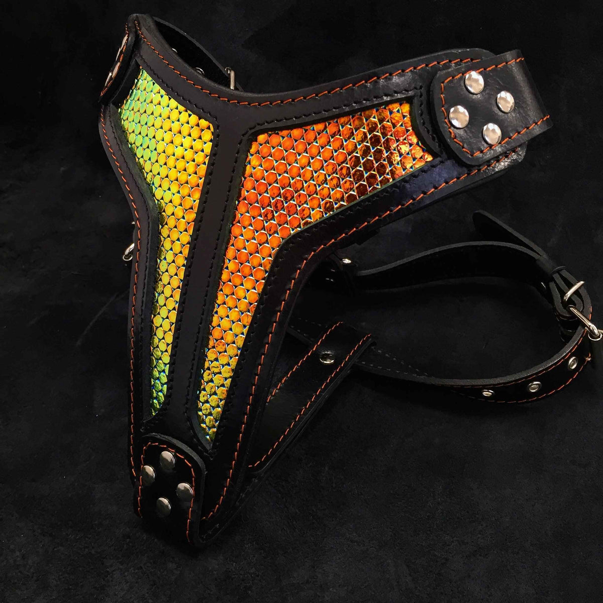 Bestia D'Albertis Limited Edition Leather Dog Harness