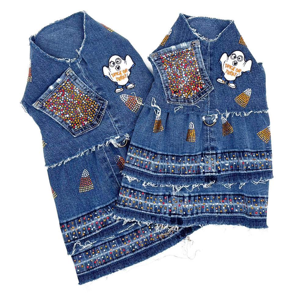 Vintage Trick or Treat Harness Dress