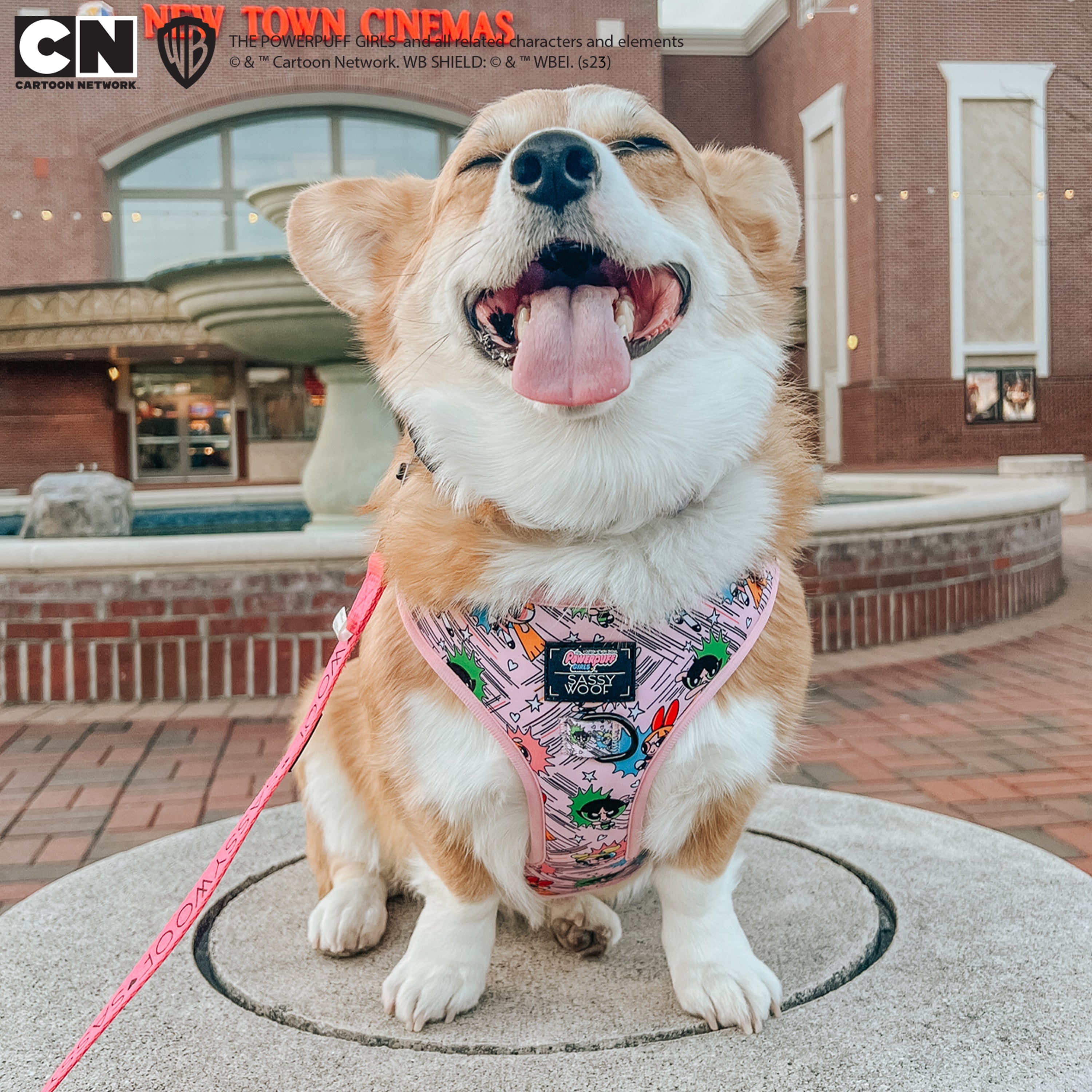 Dog Adjustable Harness - The Powerpuff Girls™ (Pink)
