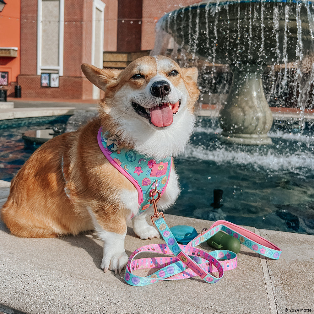 Dog Adjustable Harness - Polly Pocket™
