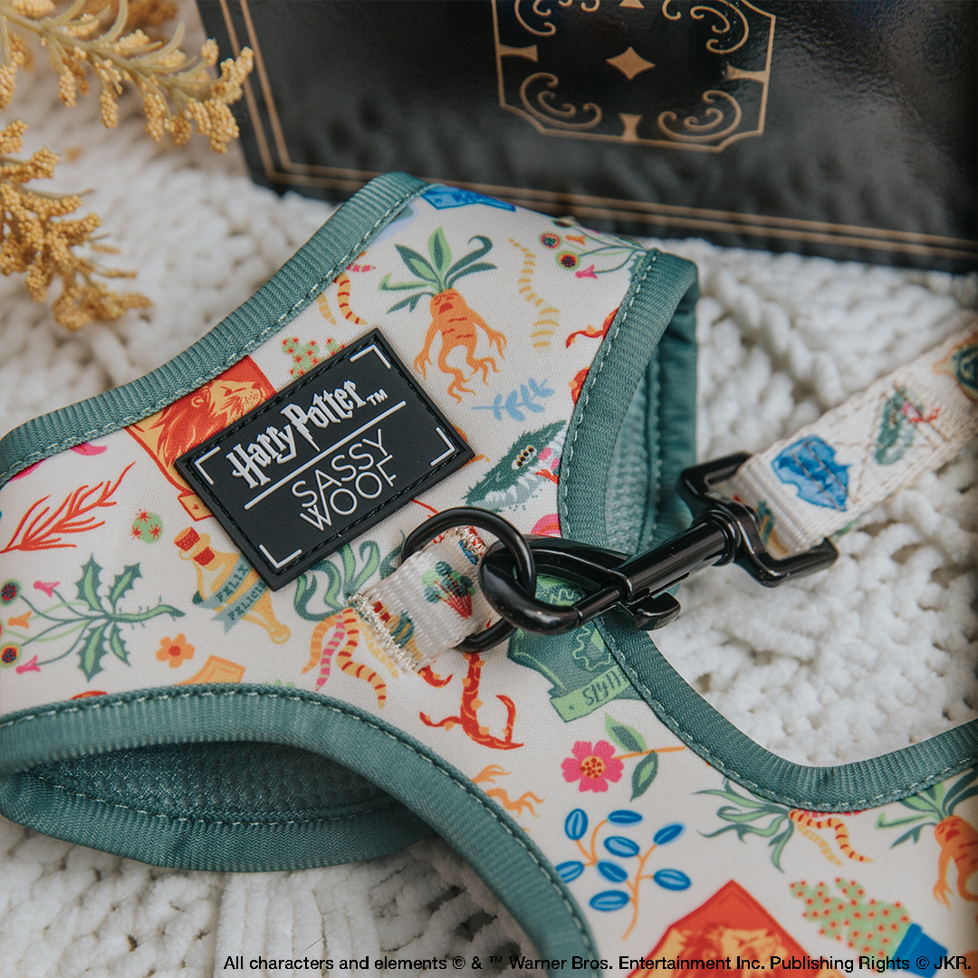 Dog Leash - Harry Potter™ Herbology