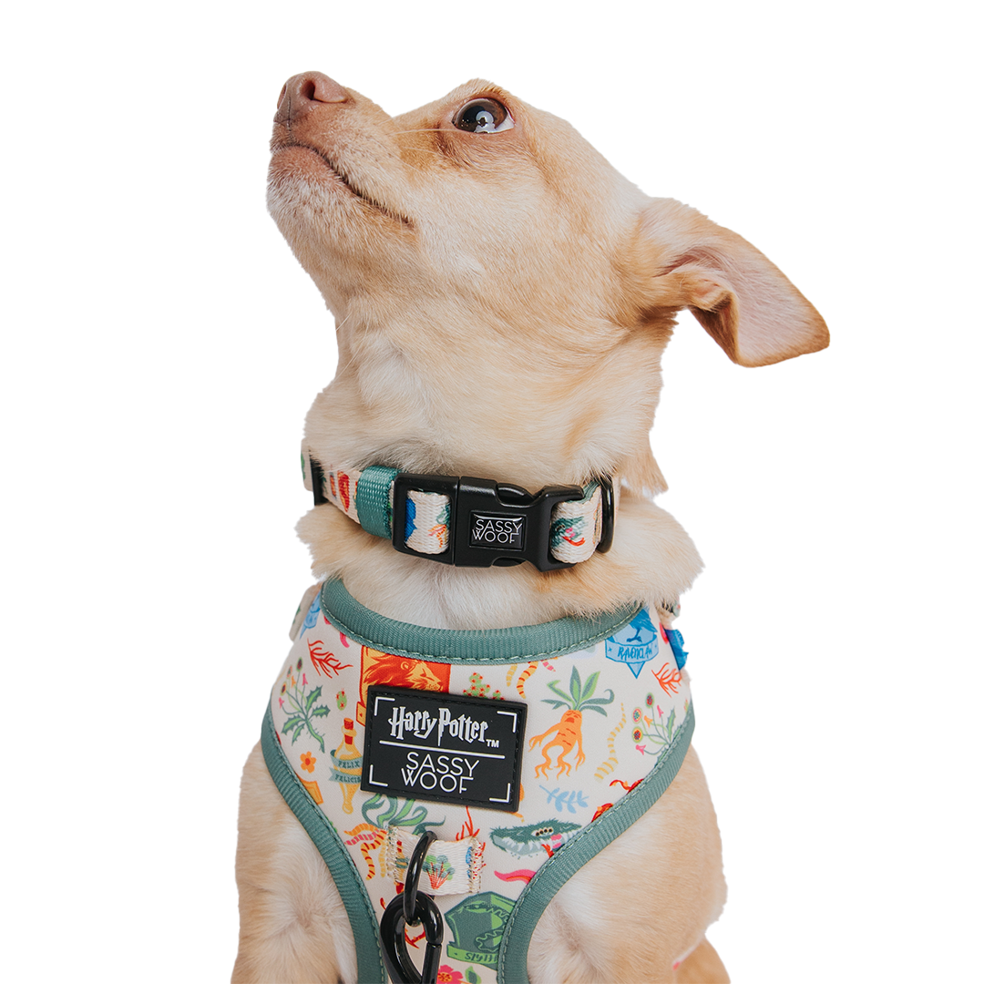 Dog Adjustable Harness - Harry Potter™ Herbology