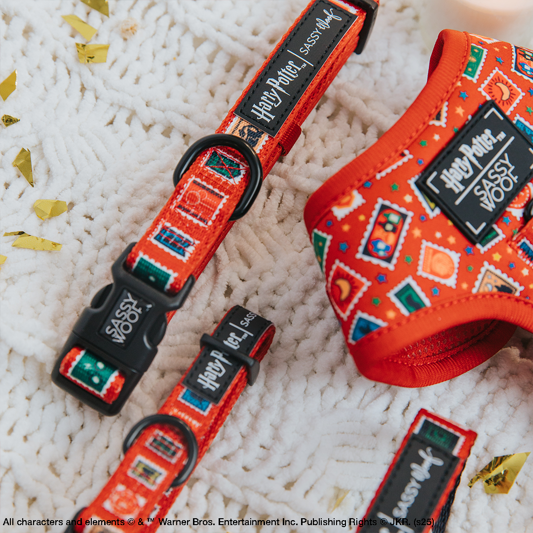 Dog Collar - Harry Potter™ Stamps