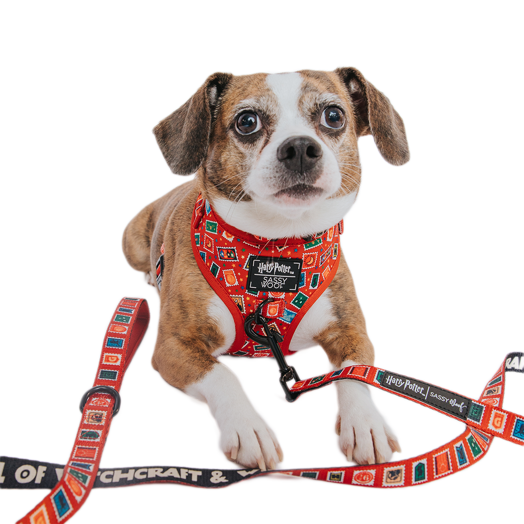 Dog Adjustable Harness - Harry Potter™ Stamps